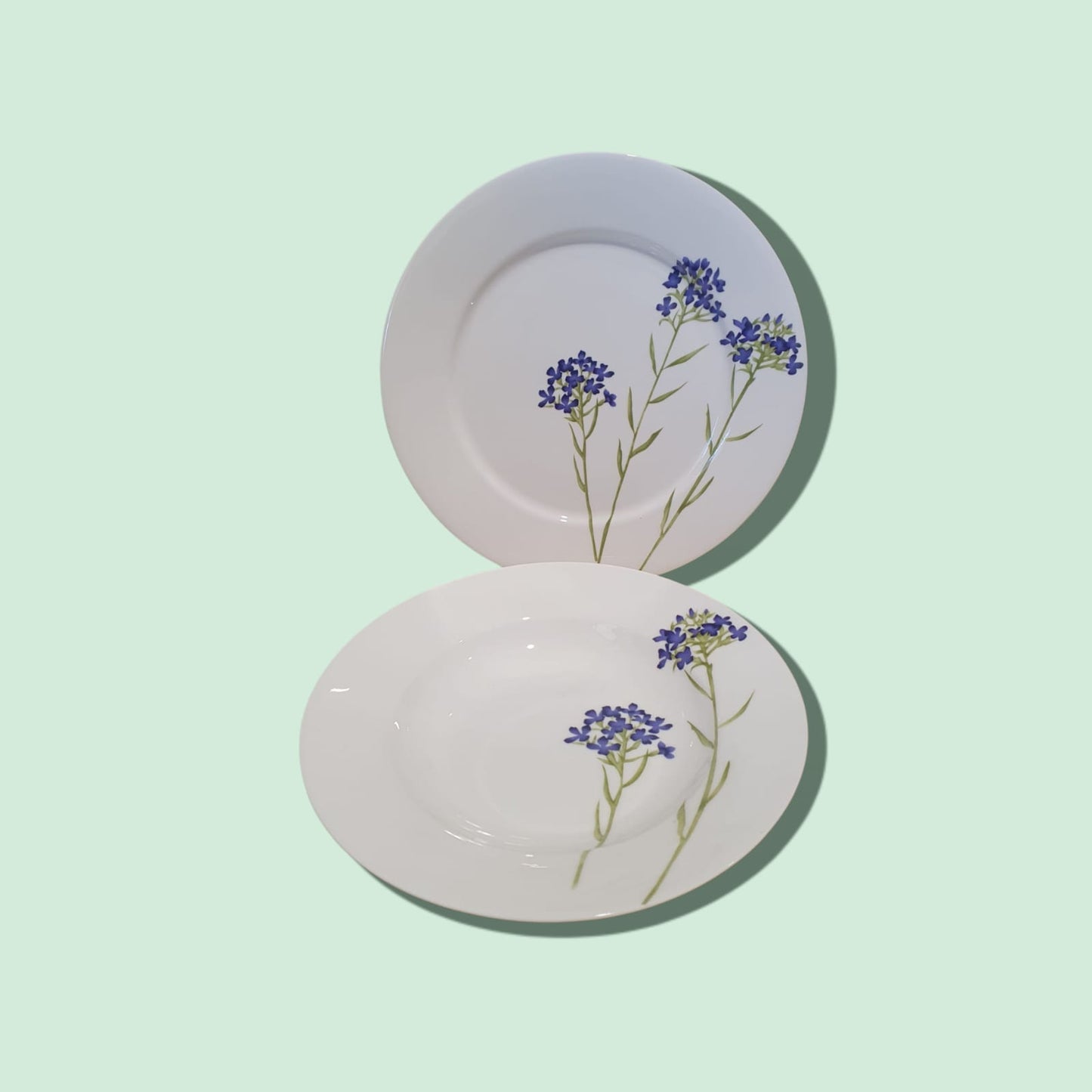 Tafelservice Steingarten Fine Bone China 12 teilig (6 Suppenteller, 6 Speiseteller)